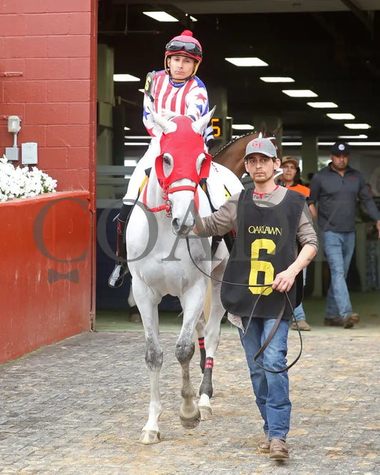 ROSE PALACE - The Lapatourel Overnight Stakes - 1st Running - 03-28-25 - R08 - OP - Paddock 01 Oaklawn Park