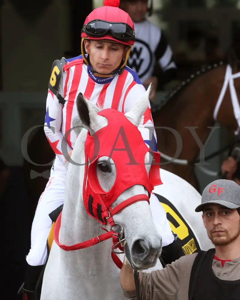 ROSE PALACE - The Lapatourel Overnight Stakes - 1st Running - 03-28-25 - R08 - OP - Paddock 02 Oaklawn Park