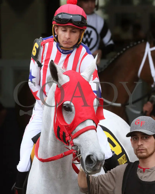 ROSE PALACE - The Lapatourel Overnight Stakes - 1st Running - 03-28-25 - R08 - OP - Paddock 02 Oaklawn Park