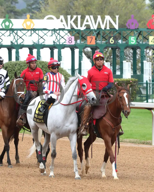 ROSE PALACE - The Lapatourel Overnight Stakes - 1st Running - 03-28-25 - R08 - OP - Post Parade 01 Oaklawn Park