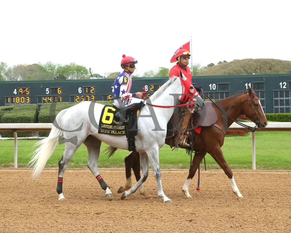 ROSE PALACE  - The Lapatourel Overnight Stakes - 1st Running - 03-28-25 - R08 - OP - Post Parade 02 - Coady Media - Kurtis Coady Photography