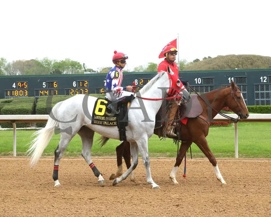 ROSE PALACE  - The Lapatourel Overnight Stakes - 1st Running - 03-28-25 - R08 - OP - Post Parade 02 - Coady Media - Kurtis Coady Photography