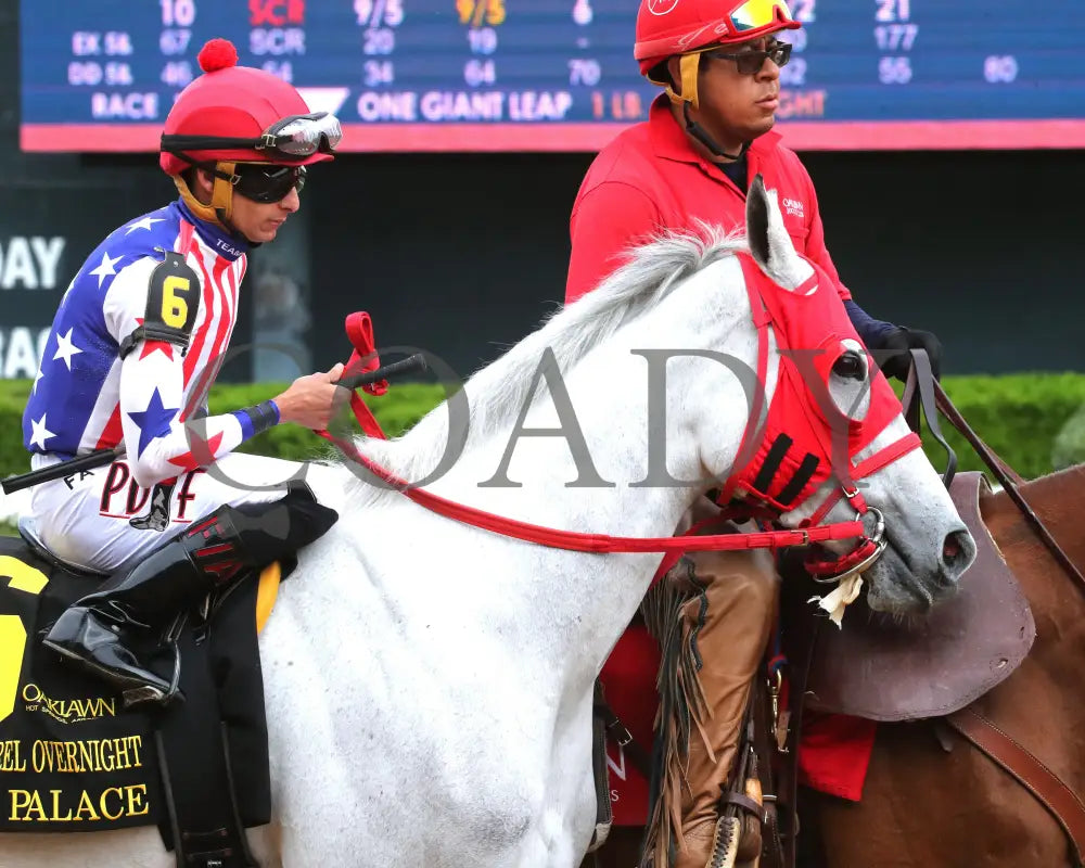 ROSE PALACE - The Lapatourel Overnight Stakes - 1st Running - 03-28-25 - R08 - OP - Post Parade 03 Oaklawn Park