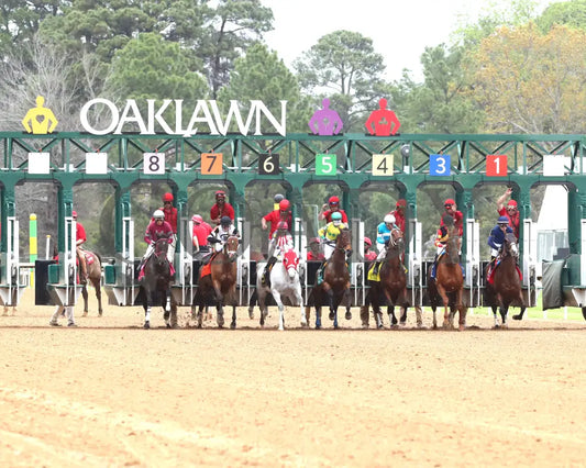 ROSE PALACE  - The Lapatourel Overnight Stakes - 1st Running - 03-28-25 - R08 - OP - Start 01 - Coady Media - Kurtis Coady Photography