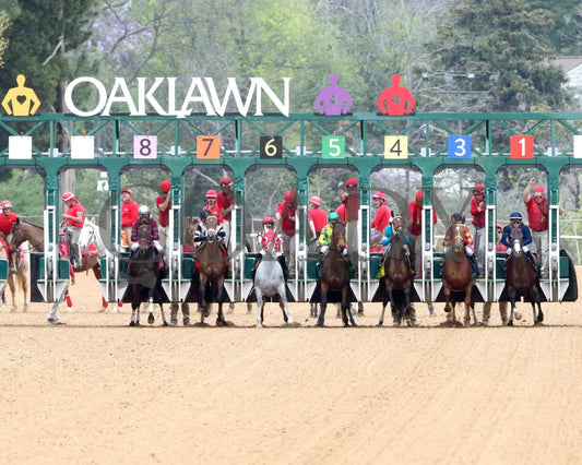 ROSE PALACE - The Lapatourel Overnight Stakes - 1st Running - 03-28-25 - R08 - OP - Start 02 Oaklawn Park