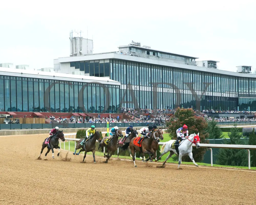 ROSE PALACE - The Lapatourel Overnight Stakes - 1st Running - 03-28-25 - R08 - OP - Sweeping Turn 01 Oaklawn Park