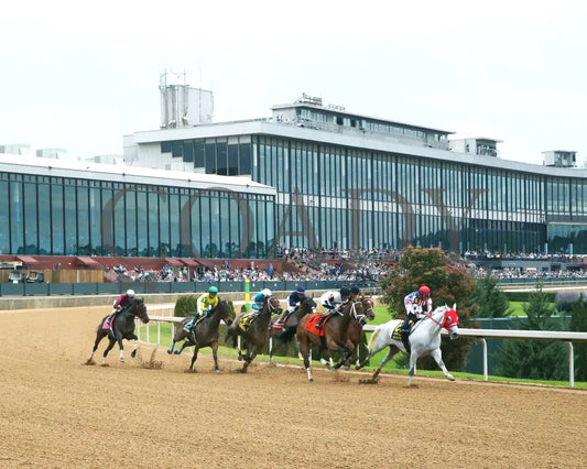 ROSE PALACE - The Lapatourel Overnight Stakes - 1st Running - 03-28-25 - R08 - OP - Sweeping Turn 01 Oaklawn Park