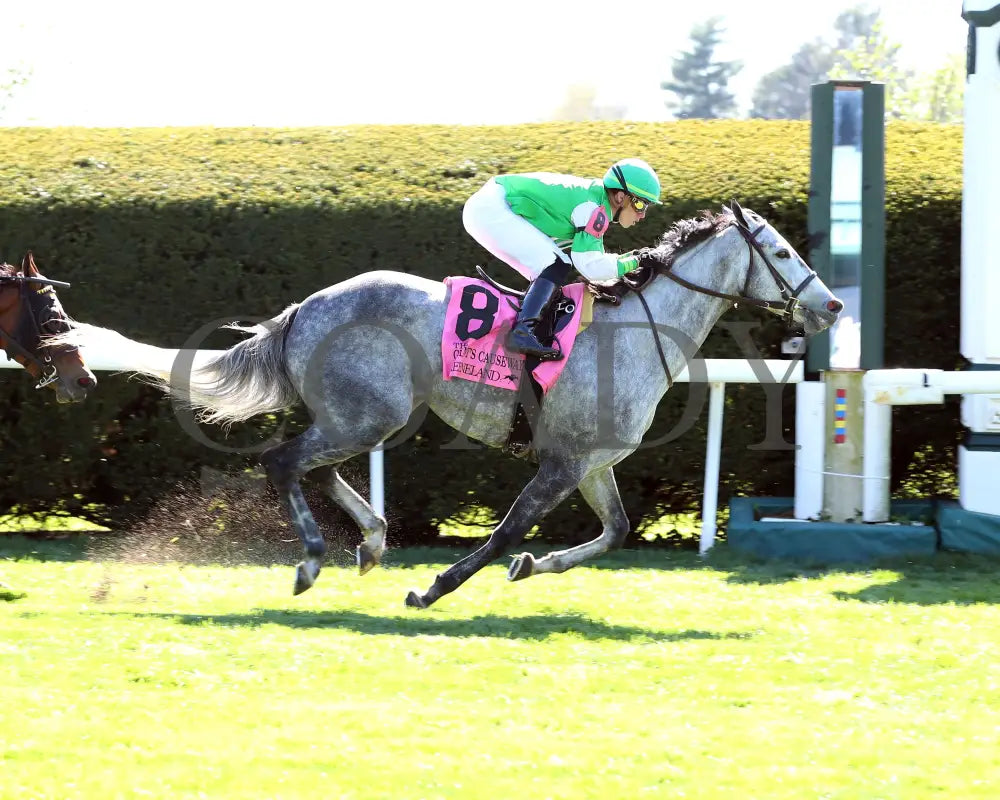 Roses For Debra - The Giant’s Causeway G3 27Th Running 04 - 13 - 24 Race 7 Kee Finish 01 Keeneland