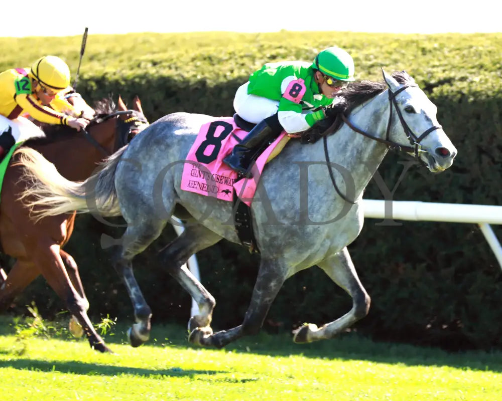 Roses For Debra - The Giant’s Causeway G3 27Th Running 04 - 13 - 24 Race 7 Kee Finish 02 Keeneland