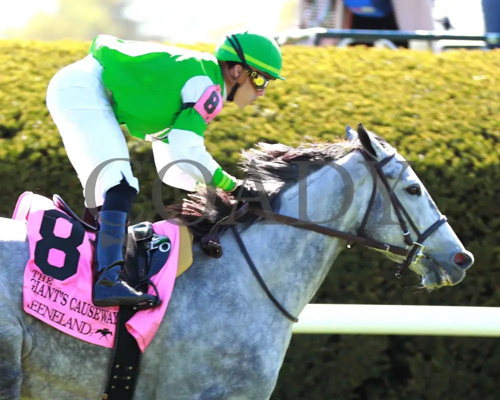 Roses For Debra - The Giant’s Causeway G3 27Th Running 04 - 13 - 24 Race 7 Kee Finish 03 Keeneland