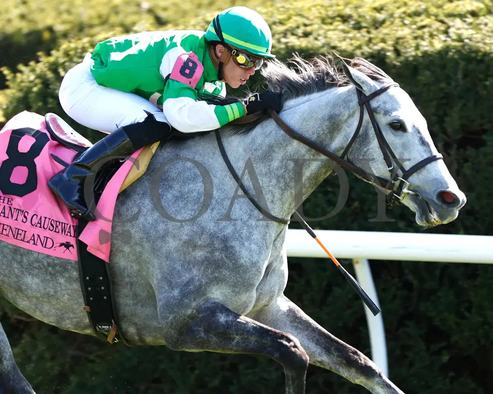 Roses For Debra - The Giant’s Causeway G3 27Th Running 04 - 13 - 24 Race 7 Kee Finish 04 Keeneland