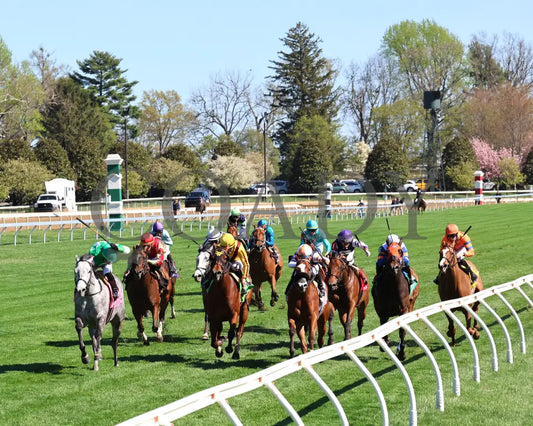 Roses For Debra - The Giant’s Causeway G3 27Th Running 04 - 13 - 24 Race 7 Kee Inside Finish 01