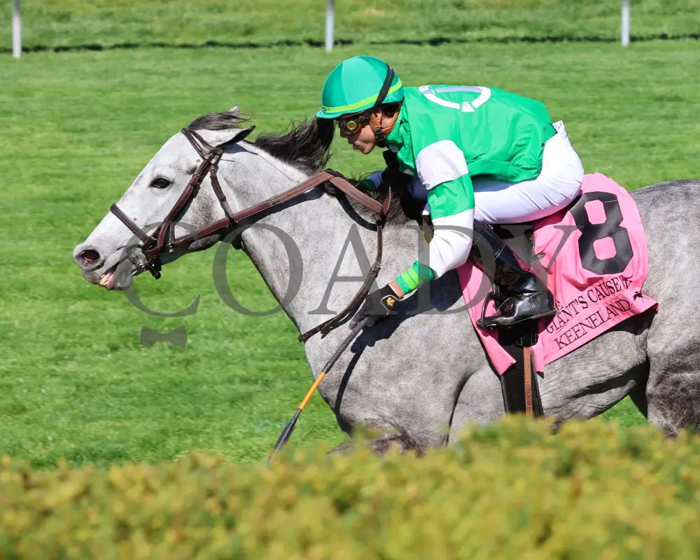 Roses For Debra - The Giant’s Causeway G3 27Th Running 04 - 13 - 24 Race 7 Kee Inside Finish 03