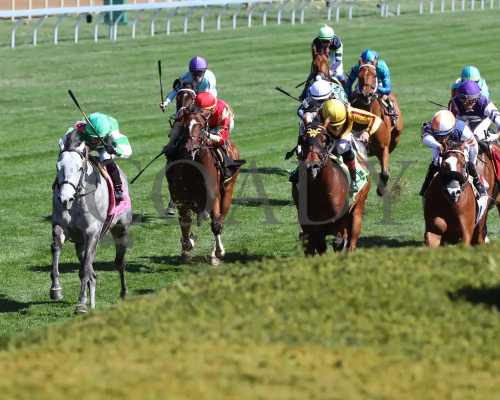 Roses For Debra - The Giant’s Causeway G3 27Th Running 04 - 13 - 24 Race 7 Kee Inside Finish 04
