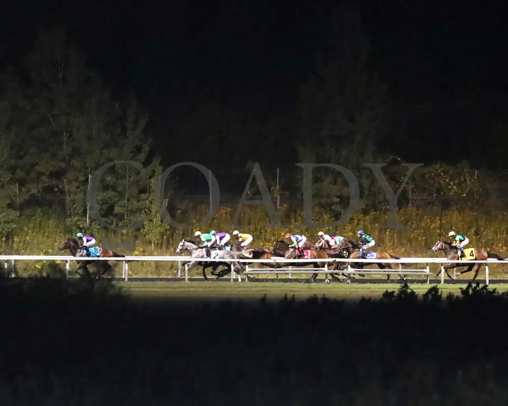 Roses For Debra - The Presque Isle Masters Stakes G2 09-20-24 R09 Pid Back Stretch Downs