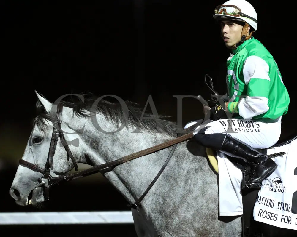 Roses For Debra - The Presque Isle Masters Stakes G2 09-20-24 R09 Pid Come Back 02 Downs