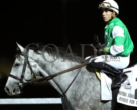 Roses For Debra - The Presque Isle Masters Stakes G2 09-20-24 R09 Pid Come Back 02 Downs