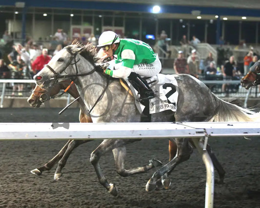 Roses For Debra - The Presque Isle Masters Stakes G2 09-20-24 R09 Pid Inside Finish 02 Downs