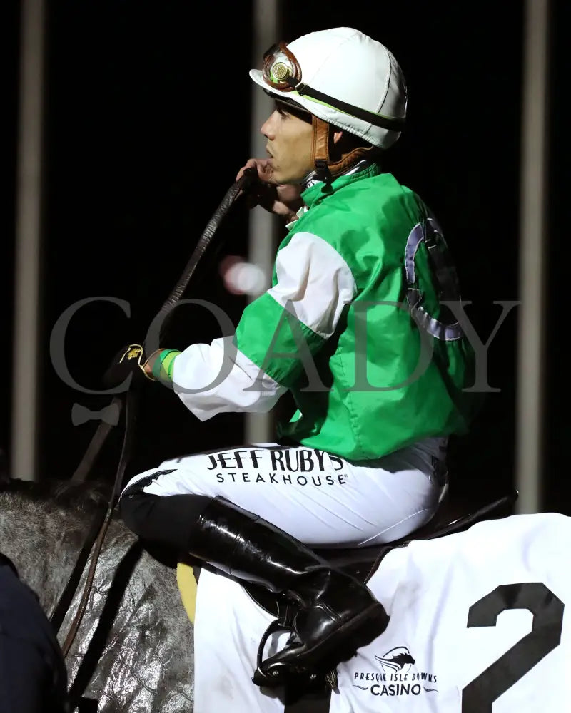 Roses For Debra - The Presque Isle Masters Stakes G2 09-20-24 R09 Pid Irad Ortiz Jr. 01 Downs