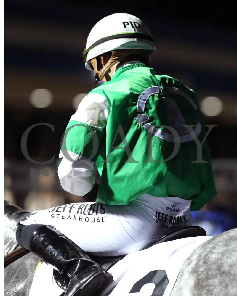 Roses For Debra - The Presque Isle Masters Stakes G2 09-20-24 R09 Pid Irad Ortiz Jr. 02 Downs