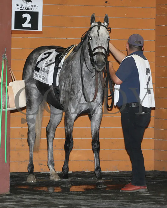 Roses For Debra - The Presque Isle Masters Stakes G2 09-20-24 R09 Pid Paddock 01 Downs