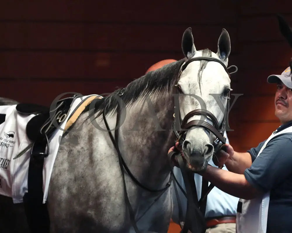 Roses For Debra - The Presque Isle Masters Stakes G2 09-20-24 R09 Pid Paddock 04 Downs