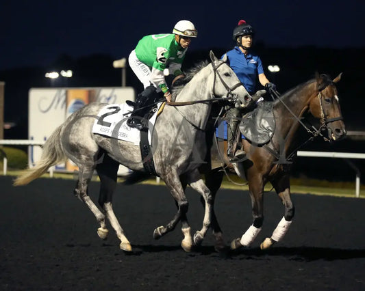Roses For Debra - The Presque Isle Masters Stakes G2 09-20-24 R09 Pid Post Parade 01 Downs