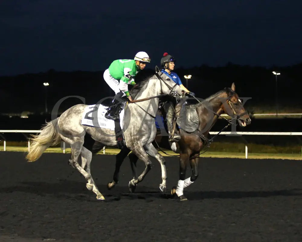 Roses For Debra - The Presque Isle Masters Stakes G2 09-20-24 R09 Pid Post Parade 02 Downs