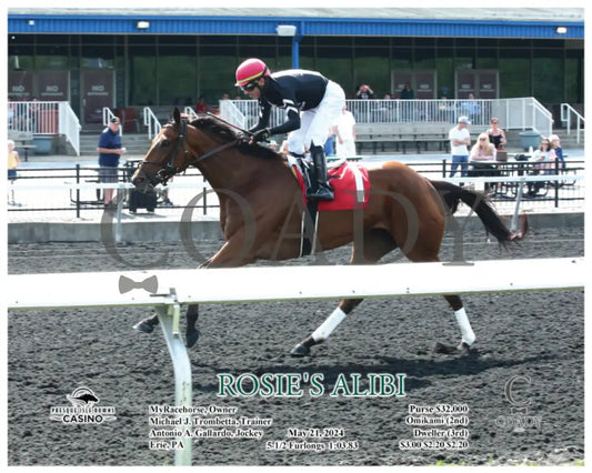 Rosie’s Alibi - 05-21-24 R04 Pid Action 01 Presque Isle Downs