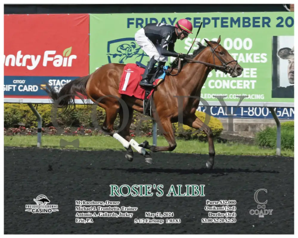 Rosie’s Alibi - 05-21-24 R04 Pid Action 02 Presque Isle Downs