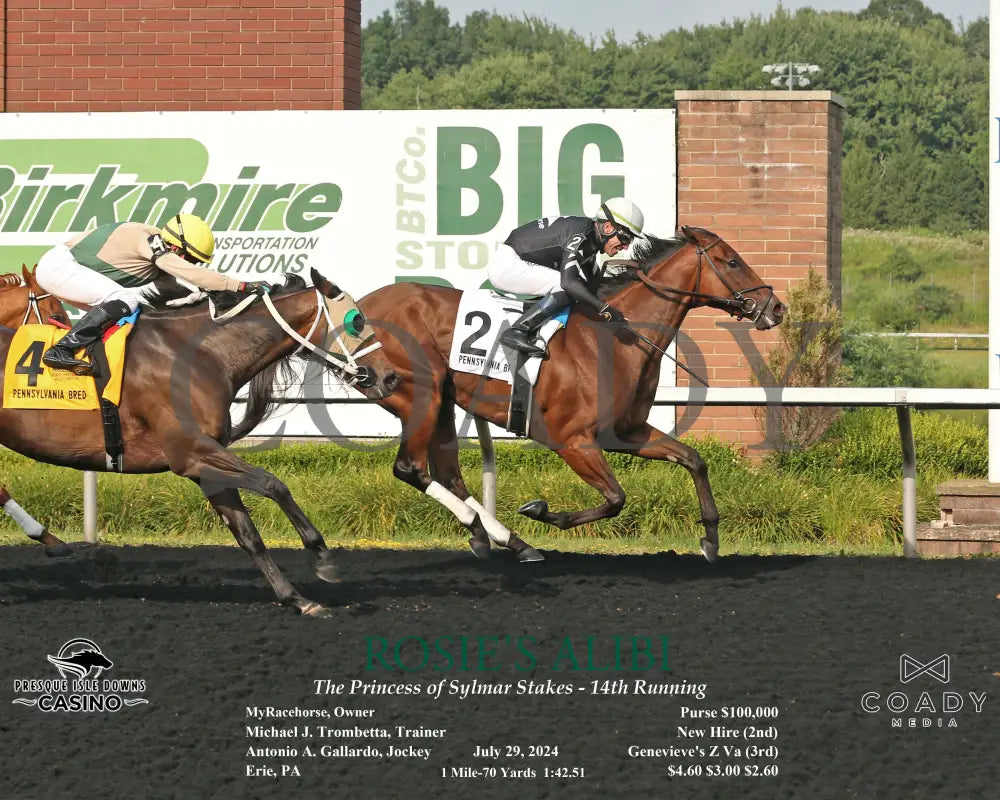 Rosie’s Alibi - The Princess Of Sylmar Stakes 14Th Running 07-29-24 R07 Pid Action Presque Isle