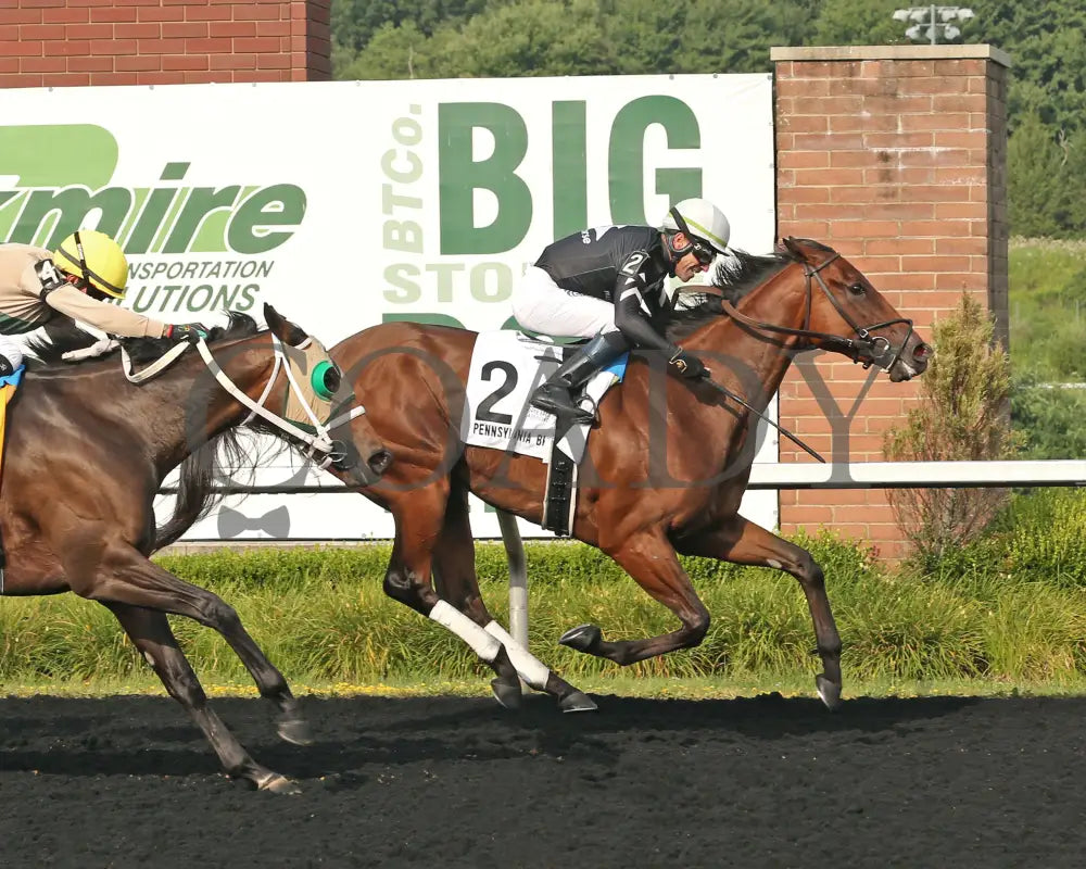 Rosie’s Alibi - The Princess Of Sylmar Stakes 14Th Running 07-29-24 R07 Pid Finish Presque Isle