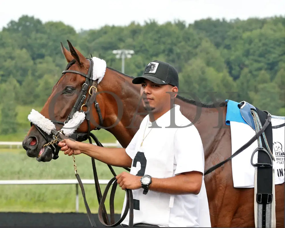 Rosie’s Alibi - The Princess Of Sylmar Stakes 14Th Running 07-29-24 R07 Pid Paddock 01 Presque