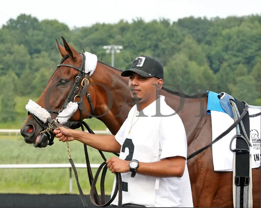Rosie’s Alibi - The Princess Of Sylmar Stakes 14Th Running 07-29-24 R07 Pid Paddock 01 Presque