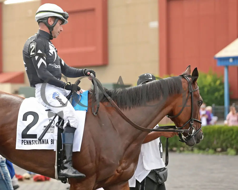 Rosie’s Alibi - The Princess Of Sylmar Stakes 14Th Running 07-29-24 R07 Pid Paddock 02 Presque