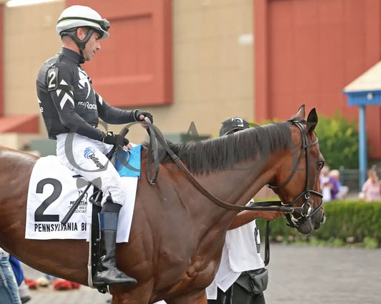 Rosie’s Alibi - The Princess Of Sylmar Stakes 14Th Running 07-29-24 R07 Pid Paddock 02 Presque