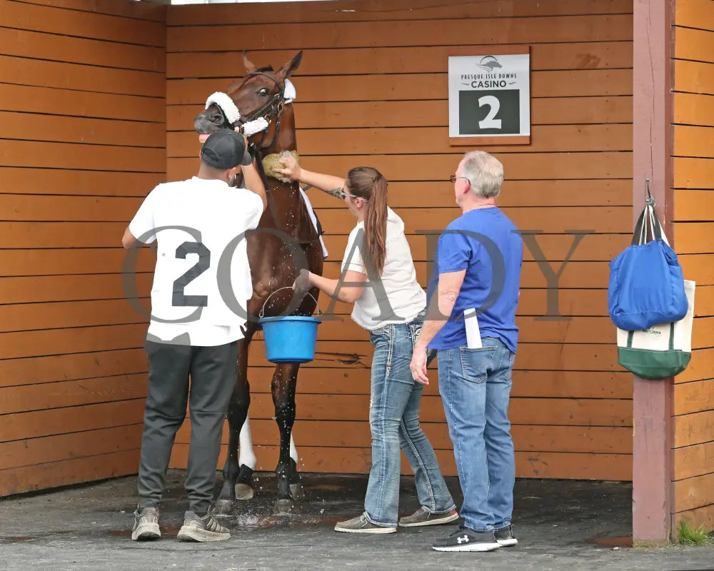 Rosie’s Alibi - The Princess Of Sylmar Stakes 14Th Running 07-29-24 R07 Pid Paddock 03 Presque