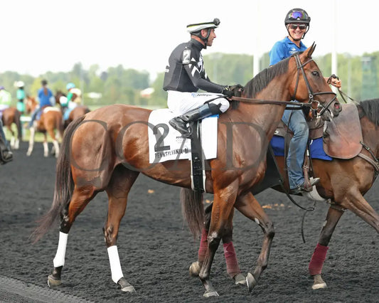 Rosie’s Alibi - The Princess Of Sylmar Stakes 14Th Running 07-29-24 R07 Pid Post Parade Presque