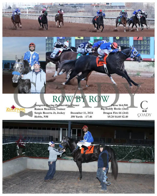 Row By - 12-11-24 R10 Zia Zia Park