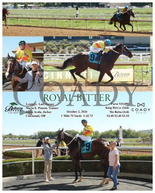 Royal Bitter - 10-02-24 R04 Btp Belterra Park