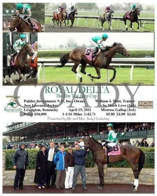 Royal Delta - The Elm Tree Julep Cup -041511 Rac Keeneland