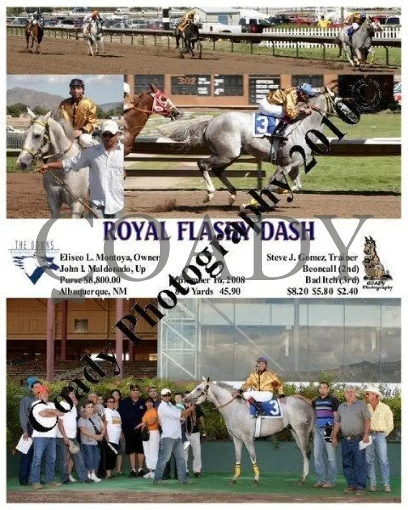 Royal Flashy Dash - 9 16 2008 Downs At Albuquerque