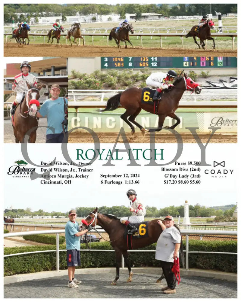Royal Itch - 091224 Race 08 Btp Belterra Park