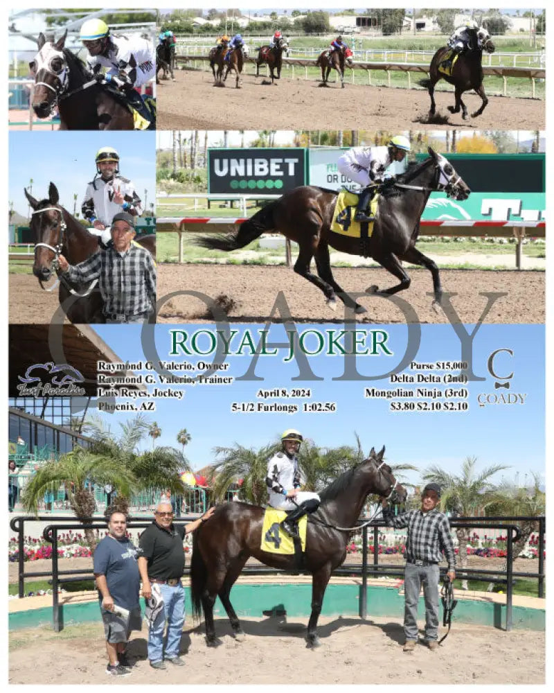 Royal Joker - 04 - 08 - 24 R04 Tup Turf Paradise