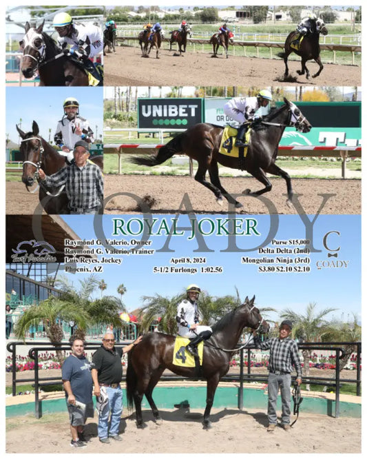 Royal Joker - 04 - 08 - 24 R04 Tup Turf Paradise