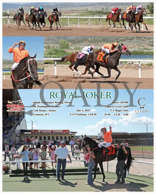 ROYAL JOKER - 07-06-25 - R08 - WYO Wyoming Downs