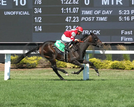 ROYAL JUSTICE - The Ellen Lucky Star - 07-05-25 - R10 - Horseshoe Indiana - Finish 01 - Samantha Pagels Indiana Grand