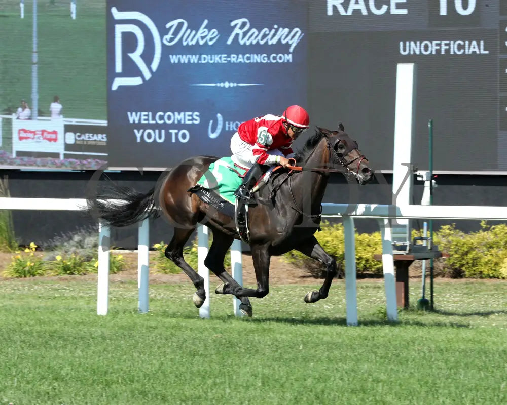 ROYAL JUSTICE - The Ellen Lucky Star - 07-05-25 - R10 - Horseshoe Indiana - Finish 02 - Ashleigh Schlitt Indiana Grand