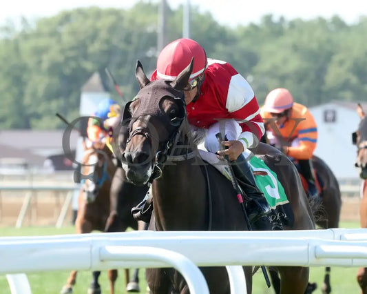 ROYAL JUSTICE - The Ellen Lucky Star - 07-05-25 - R10 - Horseshoe Indiana - Inside Finish 01 - Renee Torbit Indiana