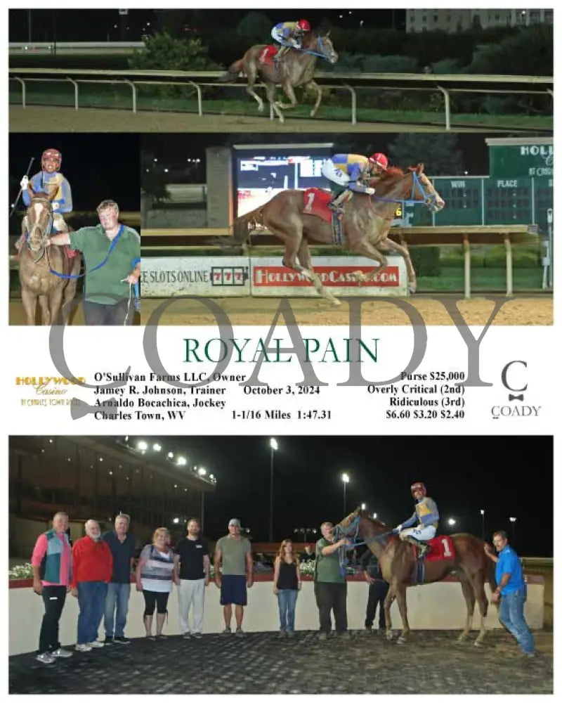 Royal Pain - 10-03-24 R07 Ct Hollywood Casino At Charles Town Races